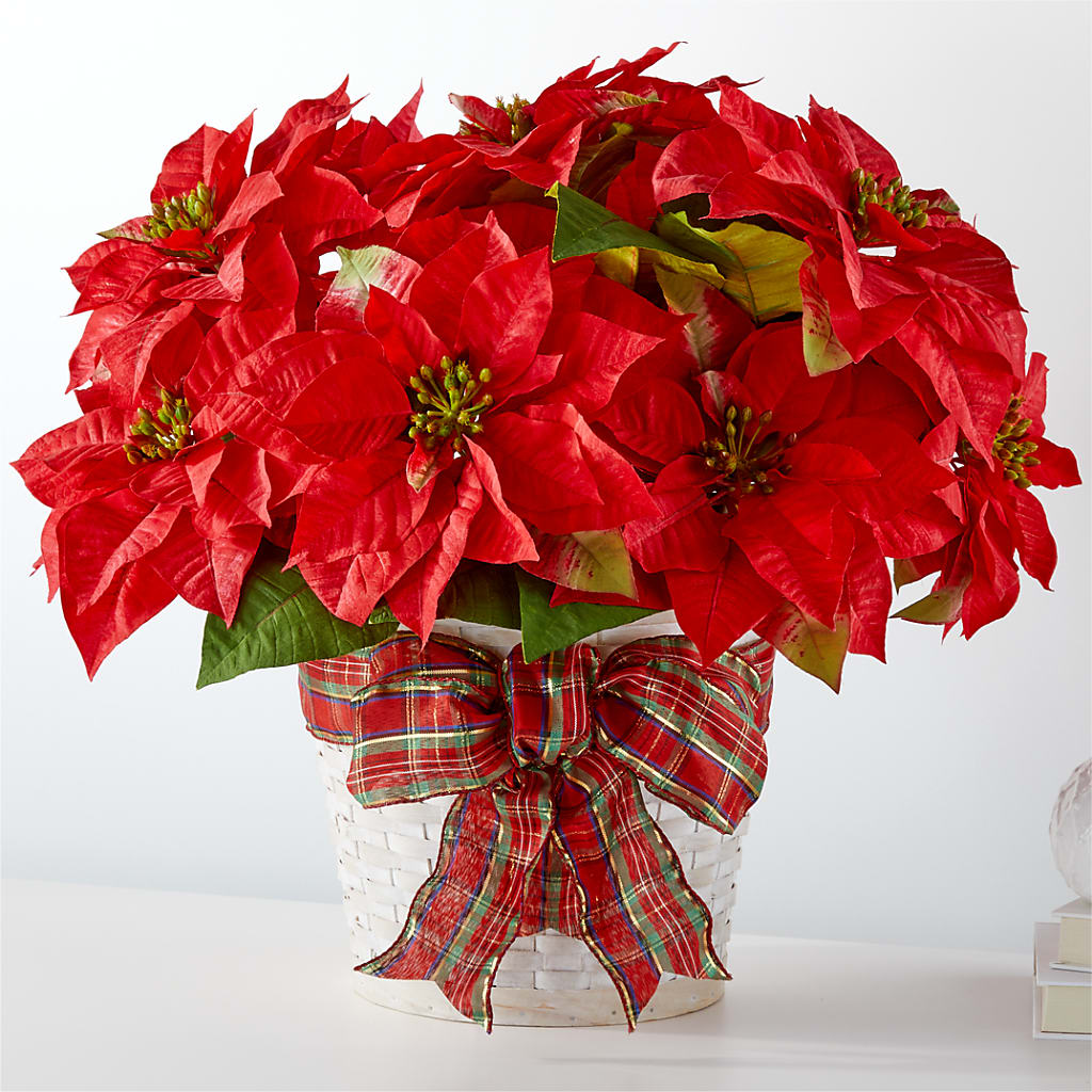 Happiest Holidays Poinsettia – Petite Flower Shop, San Antonio TX