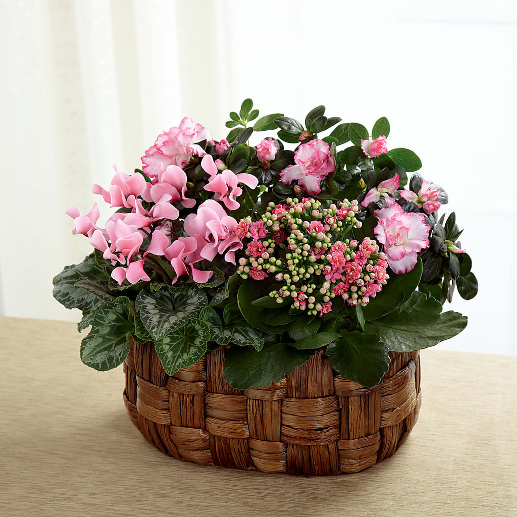 Pink Assortment – Petite Flower Shop, San Antonio TX
