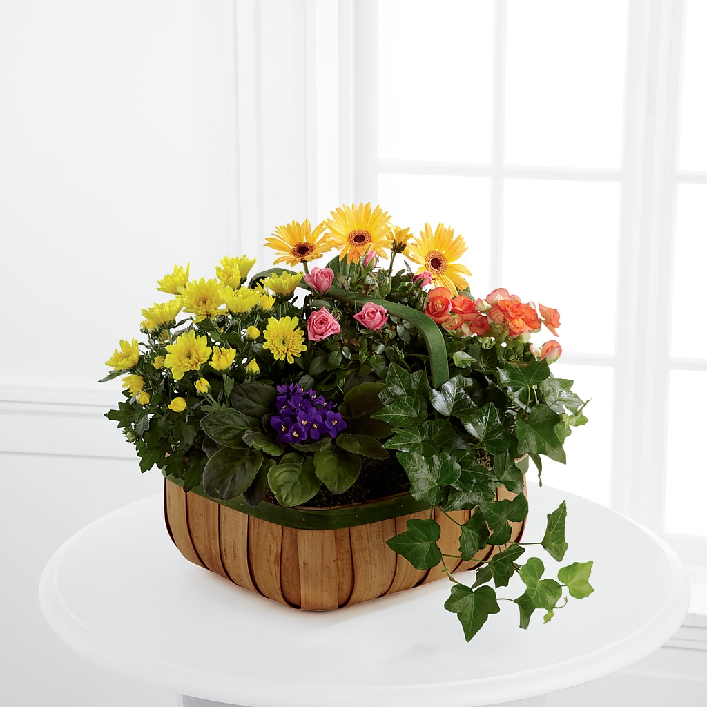 Gentle Blossoms Basket – Petite Flower Shop, San Antonio TX