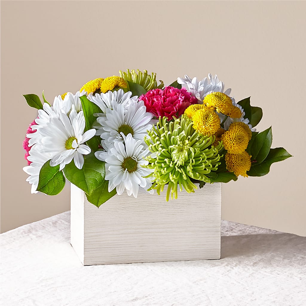 Sorbet Bouquet – Petite Flower Shop, San Antonio TX