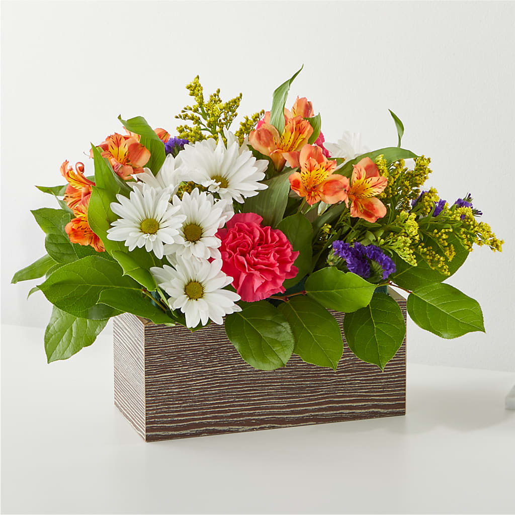 Oopsie Daisy Box Bouquet – Petite Flower Shop, San Antonio TX