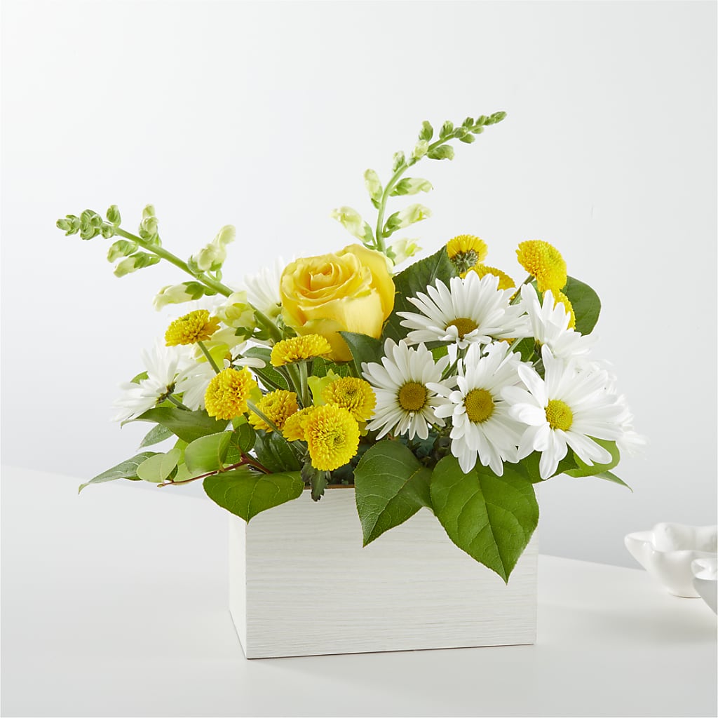 Sun Salutation Box Bouquet – Petite Flower Shop, San Antonio TX