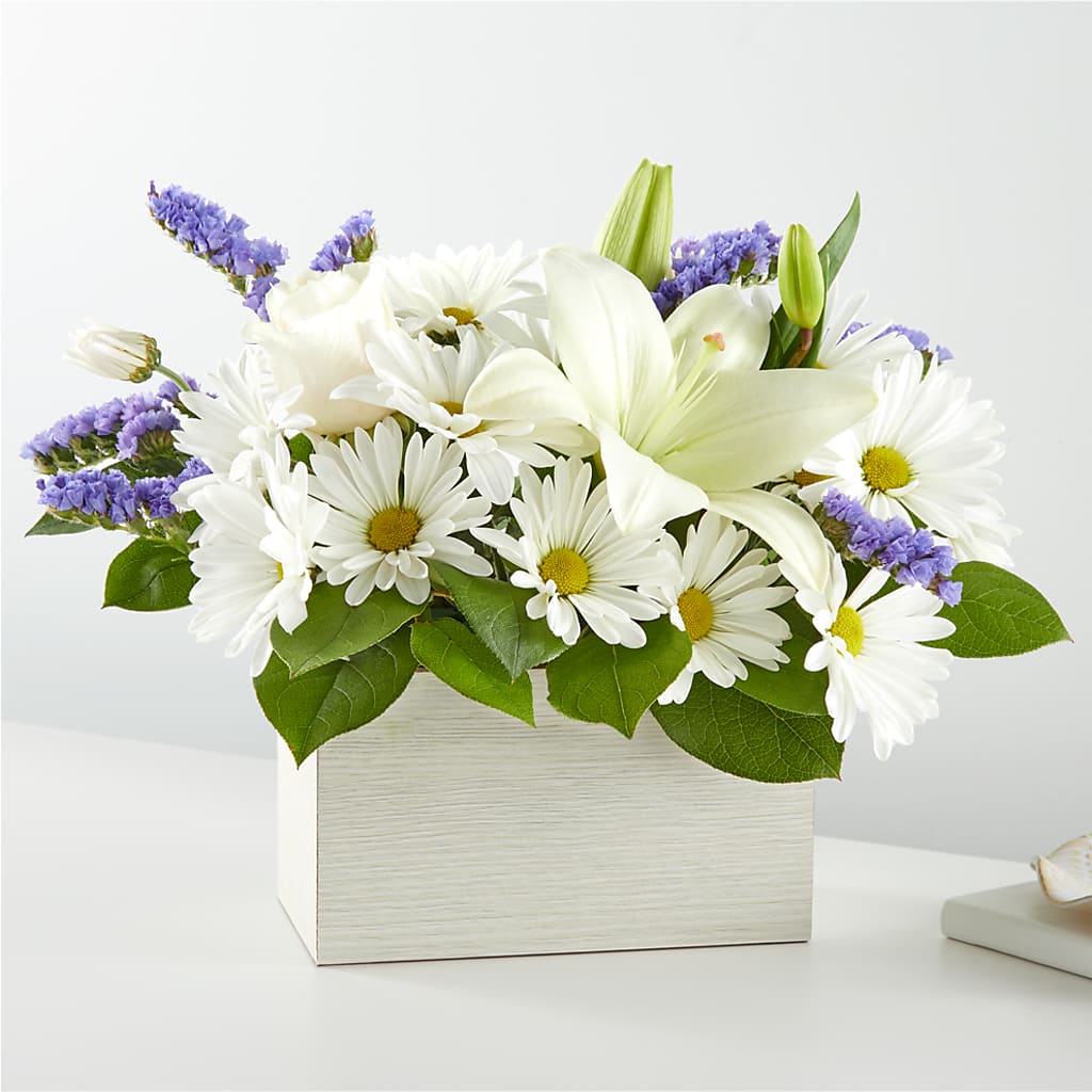Beyond Blue Box Bouquet – Petite Flower Shop, San Antonio TX