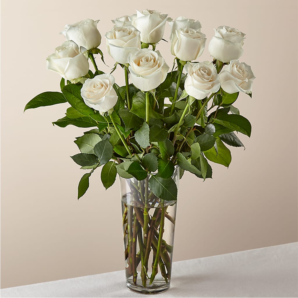Long Stem White Rose Bouquet – Petite Flower Shop, San Antonio TX