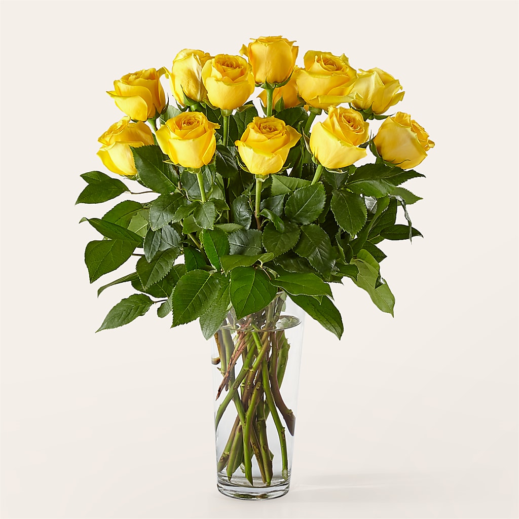 Long Stem Yellow Rose Bouquet – Petite Flower Shop, San Antonio TX
