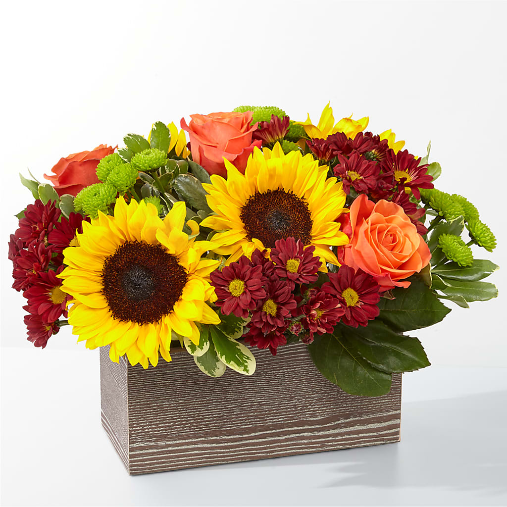 Happy Harvest Garden – Petite Flower Shop, San Antonio TX