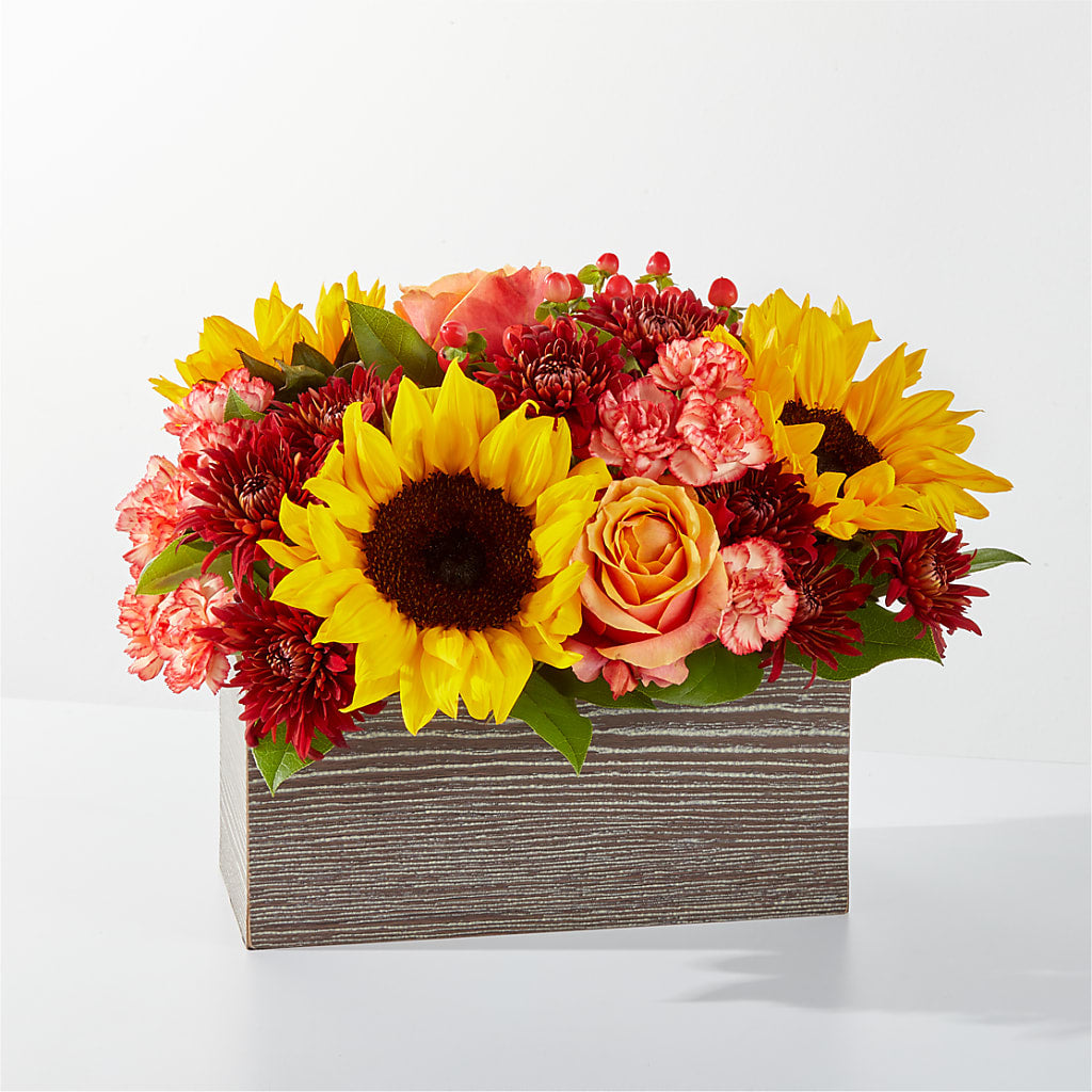 Fresh Cider Bouquet – Petite Flower Shop, San Antonio TX