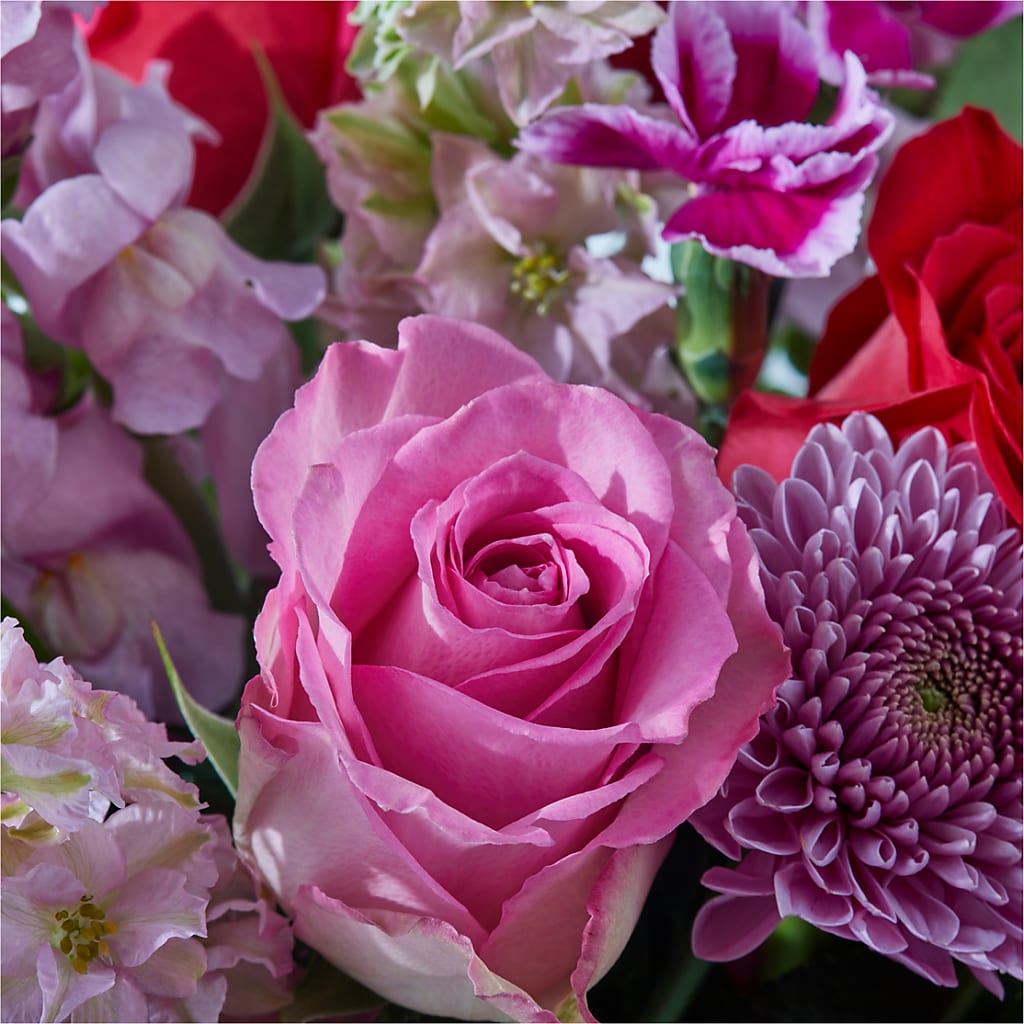 Better Together - A Luxury Florist Original – Petite Flower Shop, San Antonio TX