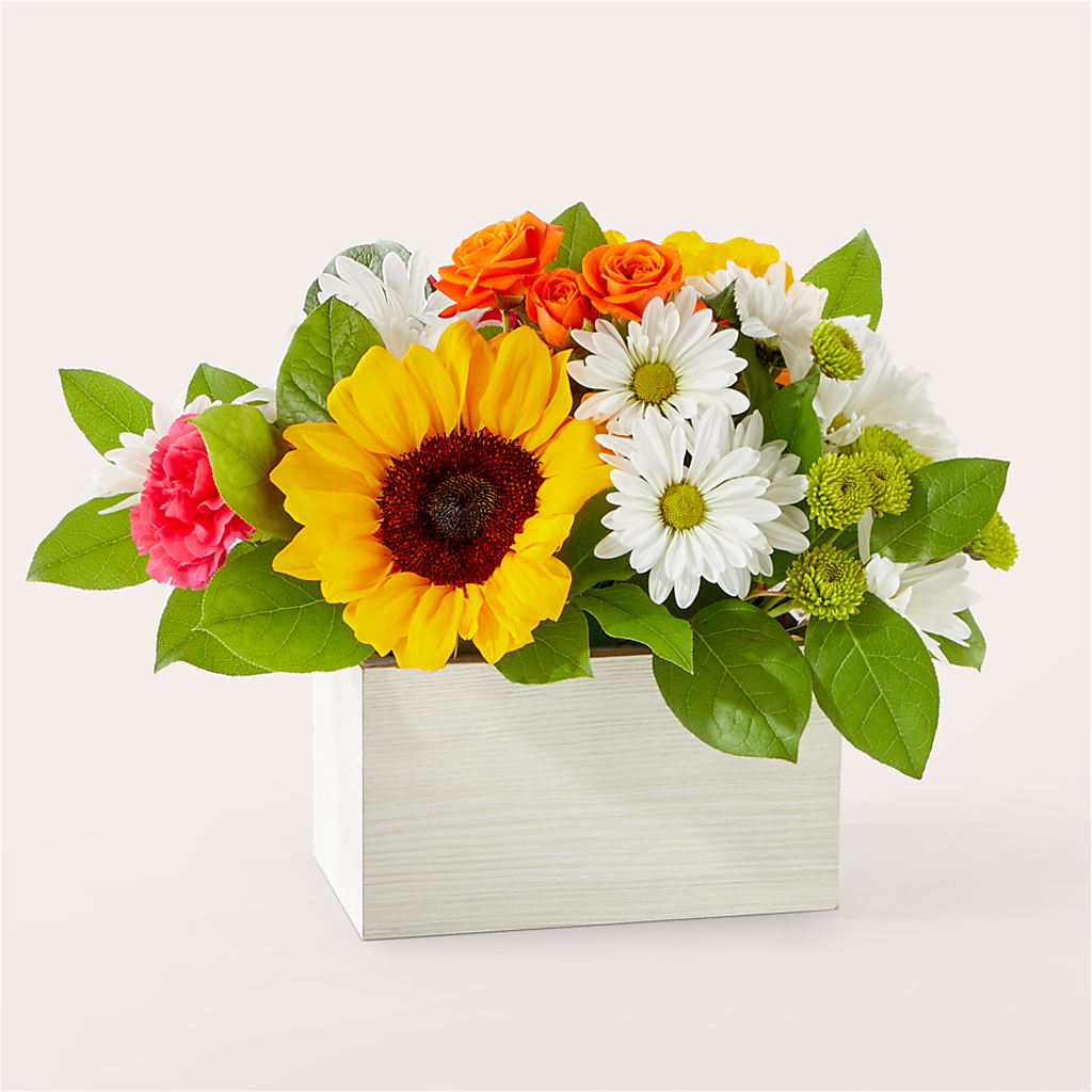Sun-drenched Blooms Box Bouquet – Petite Flower Shop, San Antonio TX