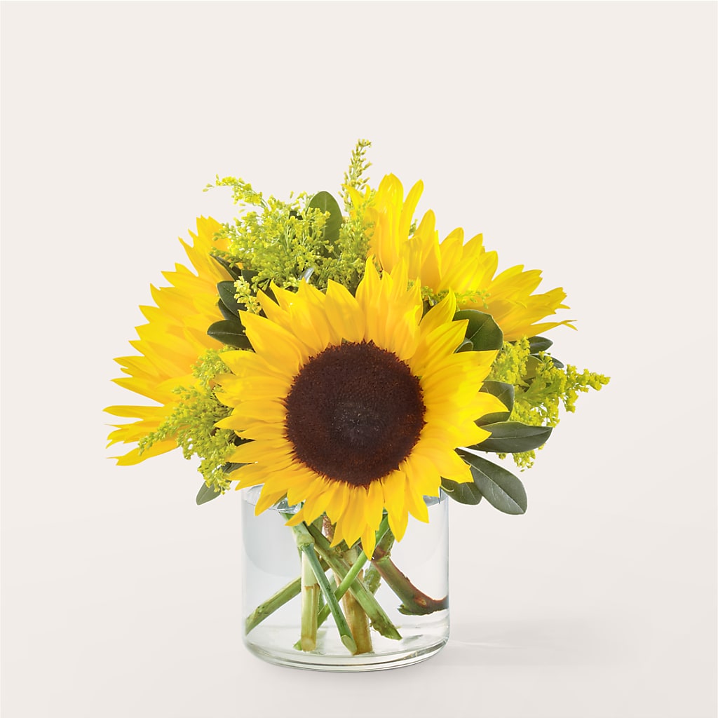 Beaming Sunflower Bouquet – Petite Flower Shop, San Antonio TX