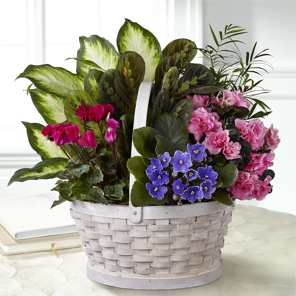 Peaceful Garden Planter – Petite Flower Shop, San Antonio TX