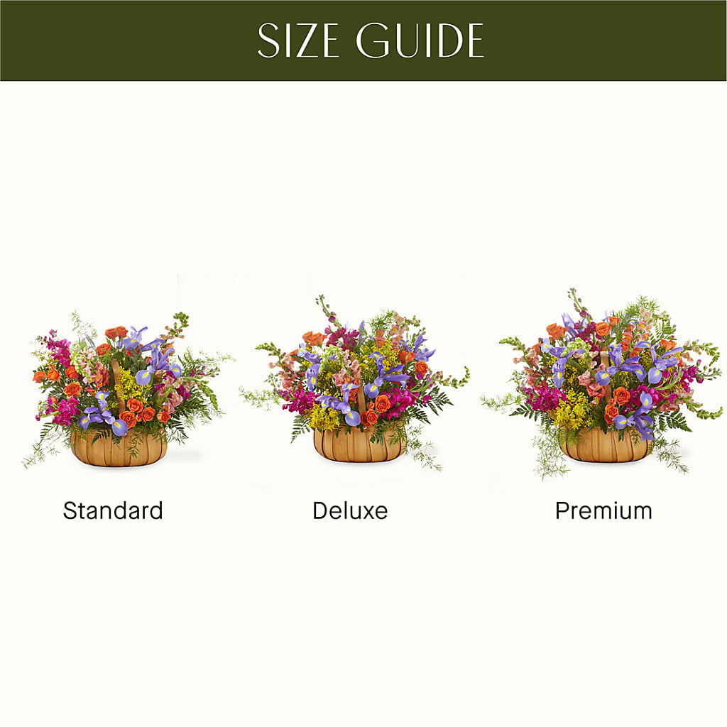 Garden of Life Basket – Petite Flower Shop, San Antonio TX