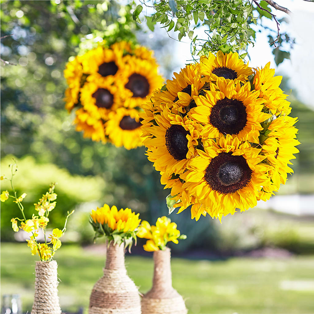 Sublime Garden Hanging Arrangement – Petite Flower Shop, San Antonio TX