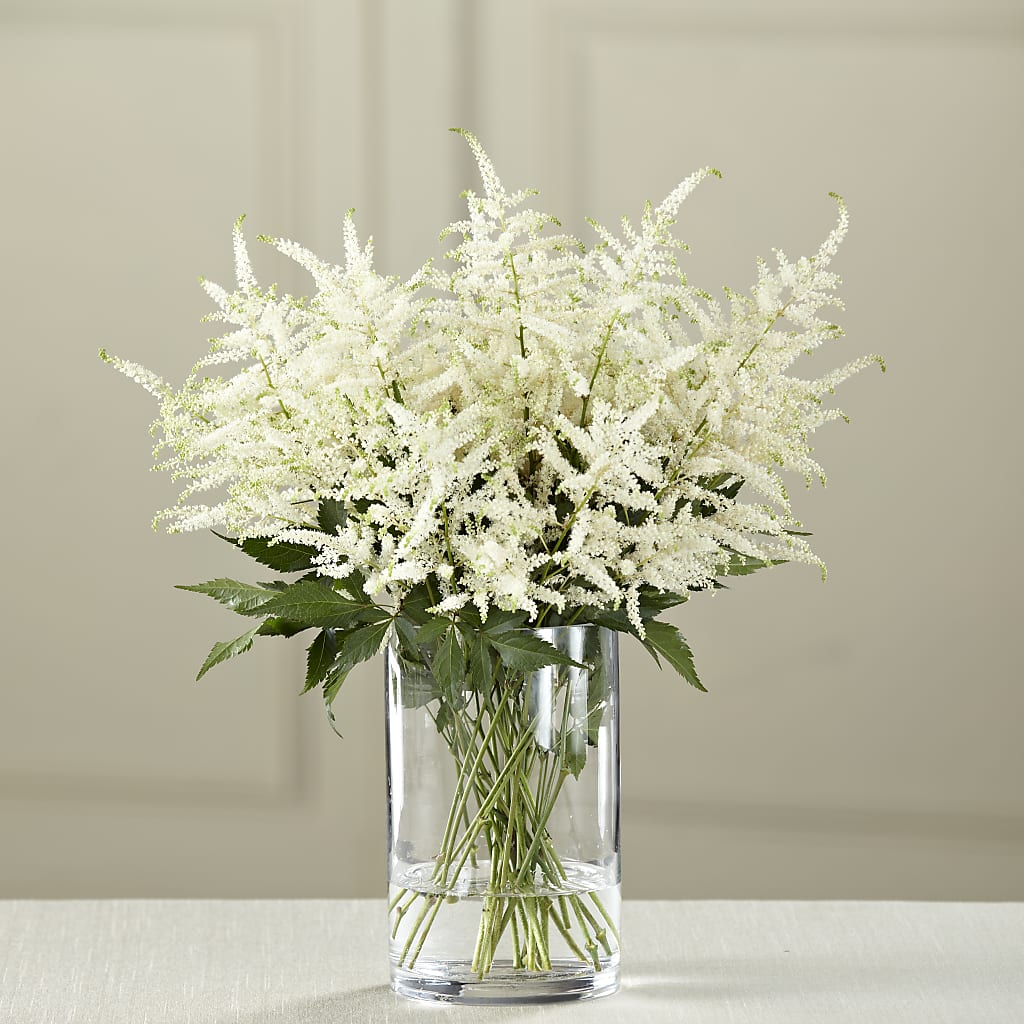 White Astilbe Bouquet – Petite Flower Shop, San Antonio TX