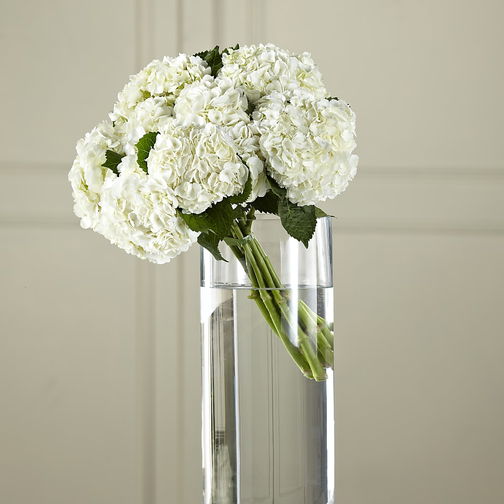 White Hydrangea Hand-Tied Bouquet – Petite Flower Shop, San Antonio TX