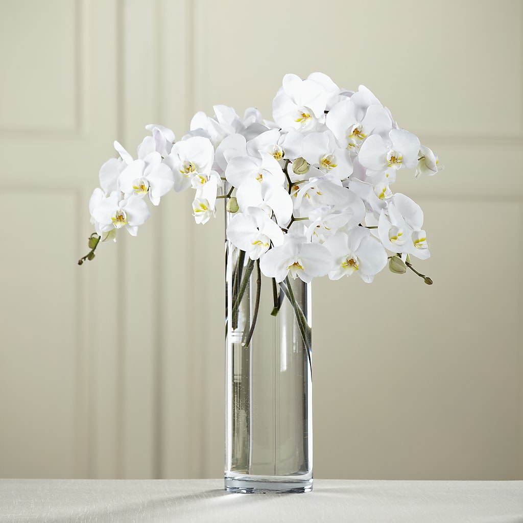 White Phalaenopsis Bouquet – Petite Flower Shop, San Antonio TX