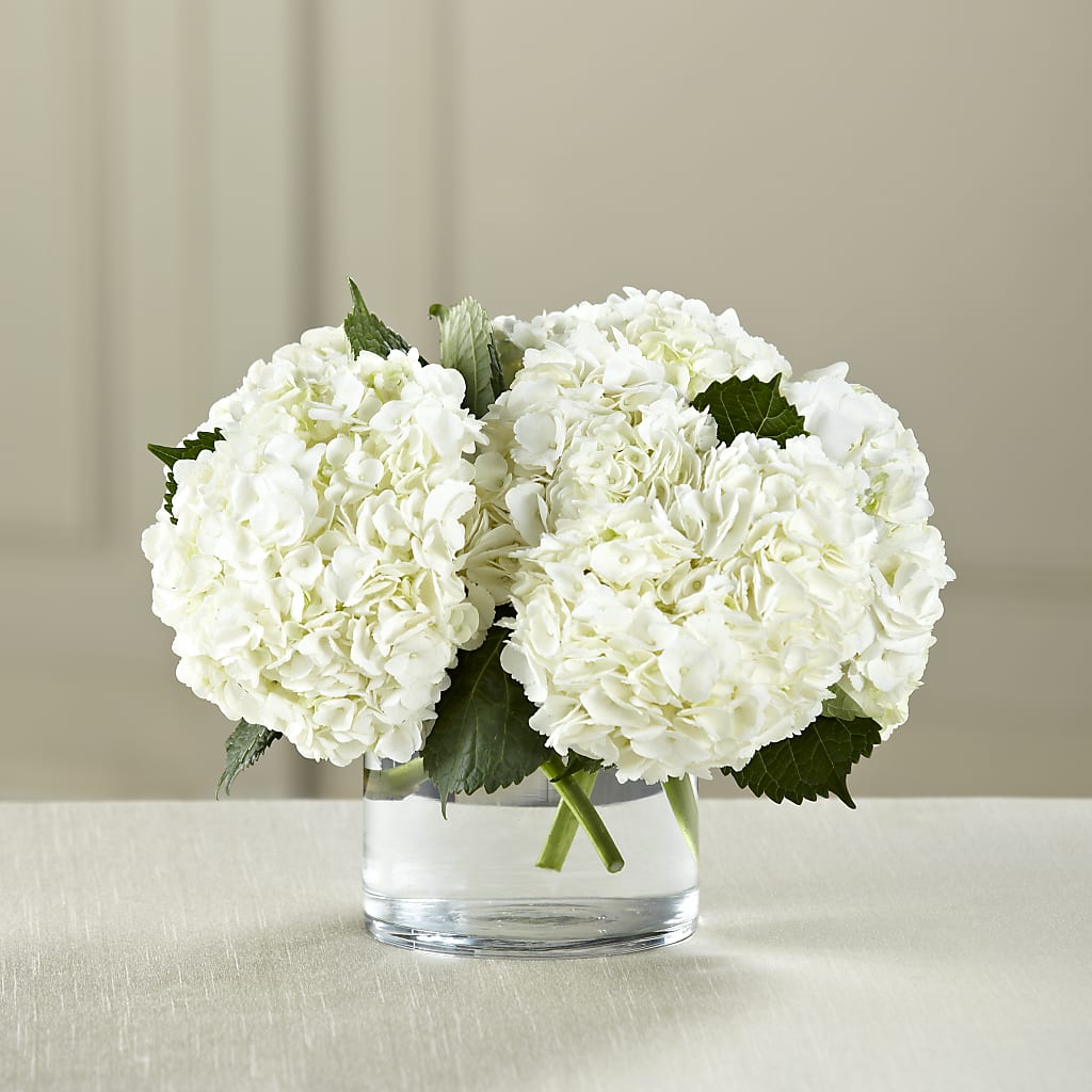 White Hydrangea Bouquet – Petite Flower Shop, San Antonio TX