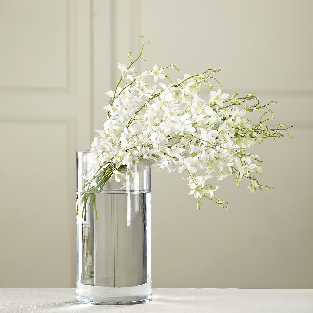 White Dendrobium Bouquet – Petite Flower Shop, San Antonio TX
