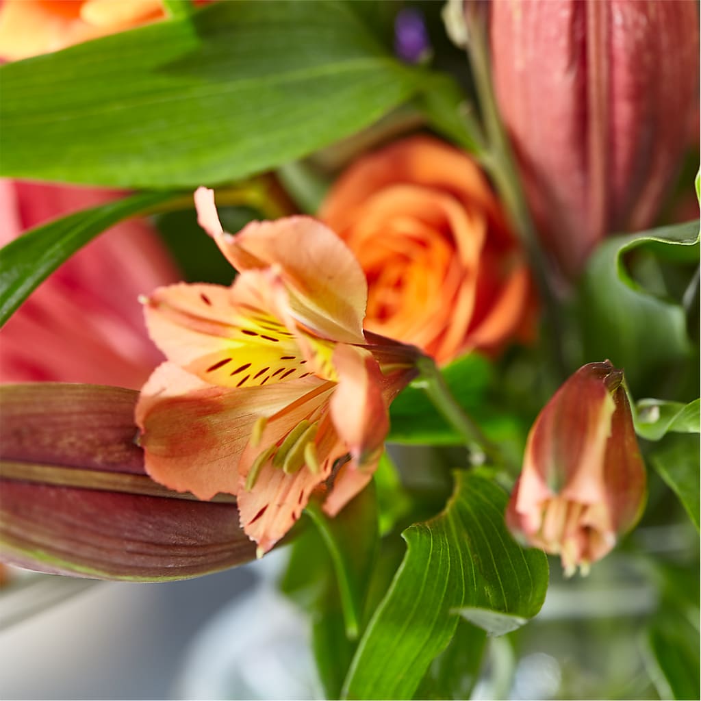 Bold & Bright – A Florist Original –  Petite Flower Shop, San Antonio TX