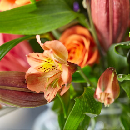 Bold & Bright – A Florist Original –  Petite Flower Shop, San Antonio TX