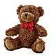 Adorable Plush Bear –  Petite Flower Shop, San Antonio TX