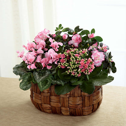 Pink Assortment –  Petite Flower Shop, San Antonio TX