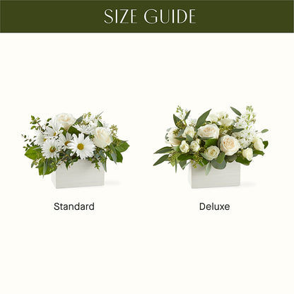 Fresh Linen Box Bouquet –  Petite Flower Shop, San Antonio TX