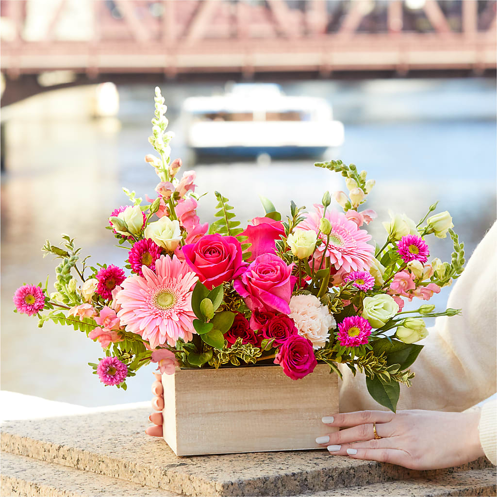 Too Cute Bouquet –  Petite Flower Shop, San Antonio TX