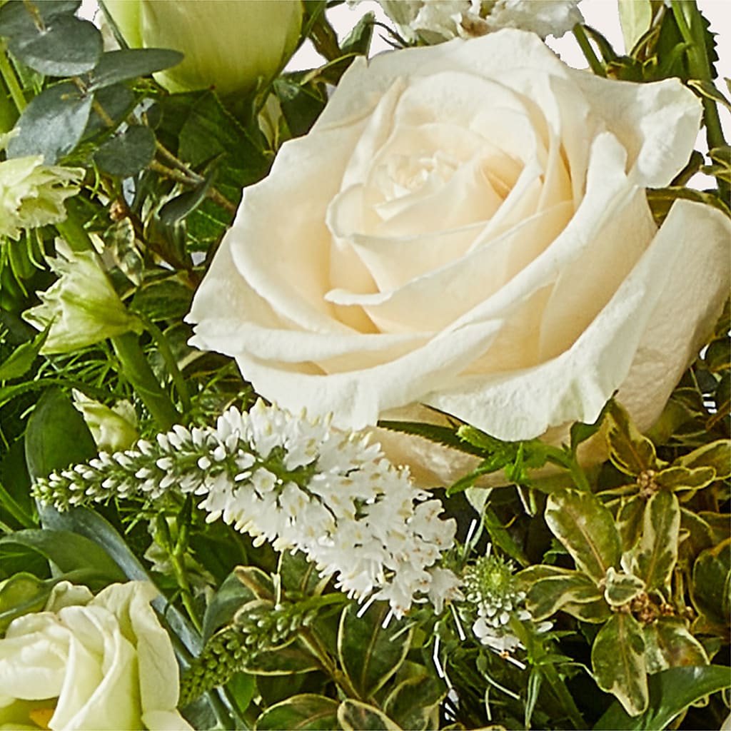 Cashmere Bouquet –  Petite Flower Shop, San Antonio TX