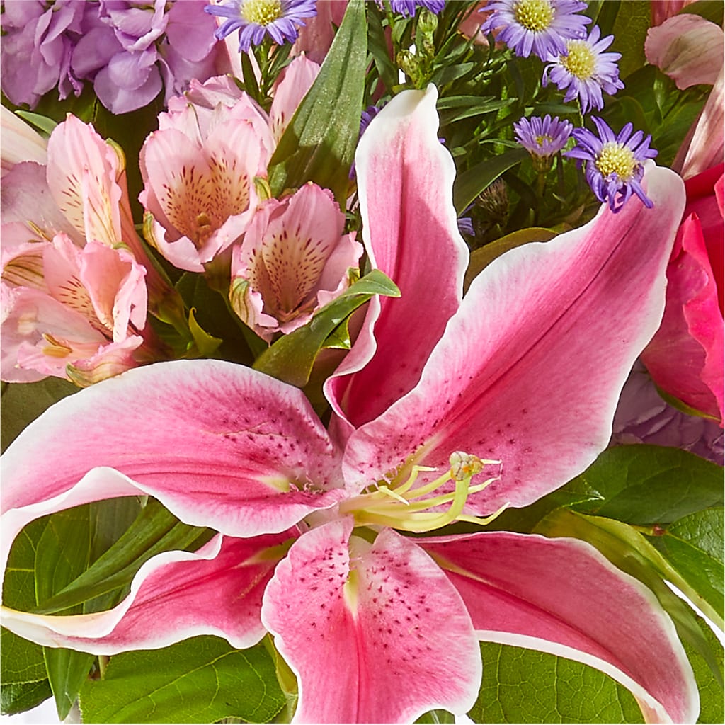 Written in the Stars Bouquet –  Petite Flower Shop, San Antonio TX