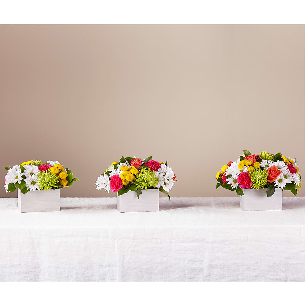 Sorbet Bouquet –  Petite Flower Shop, San Antonio TX