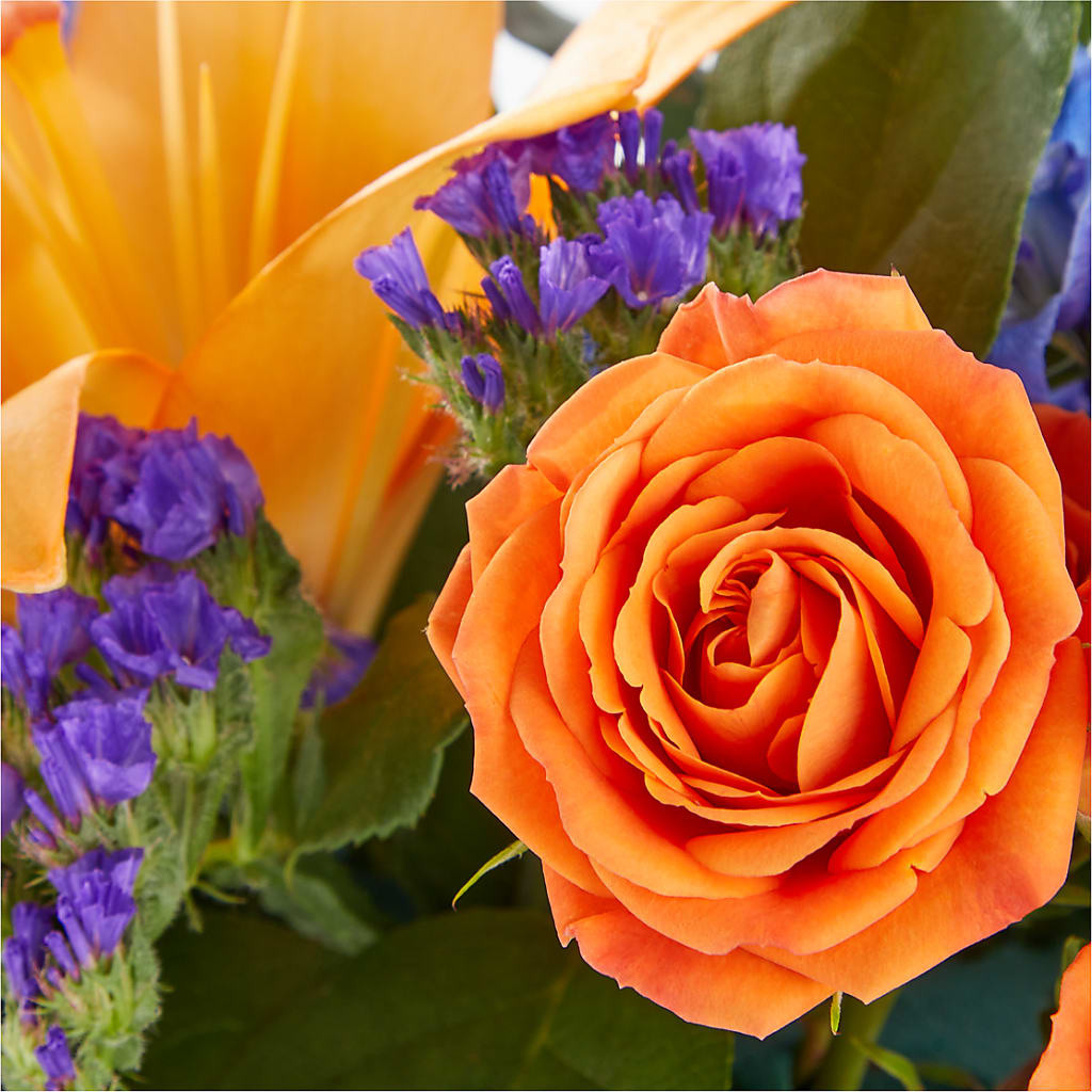 Radiant Citrus Box Bouquet –  Petite Flower Shop, San Antonio TX