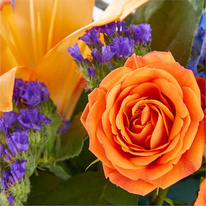 Radiant Citrus Box Bouquet –  Petite Flower Shop, San Antonio TX
