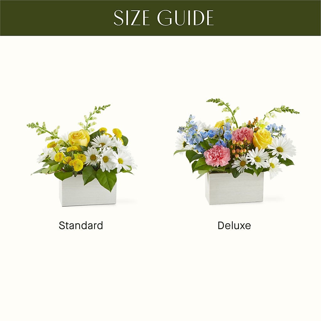 Sun Salutation Box Bouquet –  Petite Flower Shop, San Antonio TX