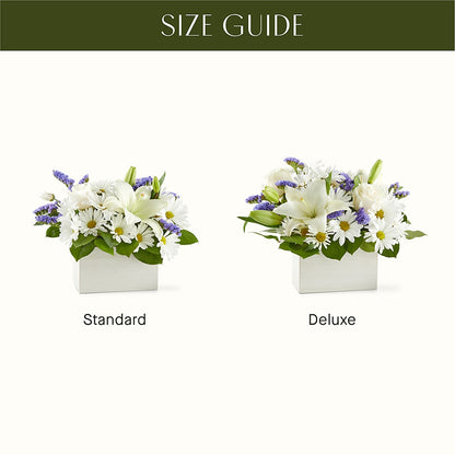 Beyond Blue Box Bouquet –  Petite Flower Shop, San Antonio TX
