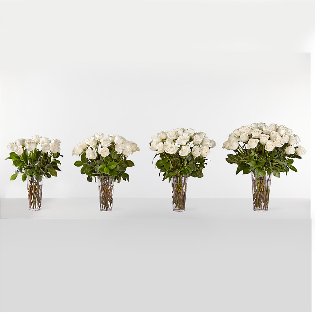 Long Stem White Rose Bouquet –  Petite Flower Shop, San Antonio TX