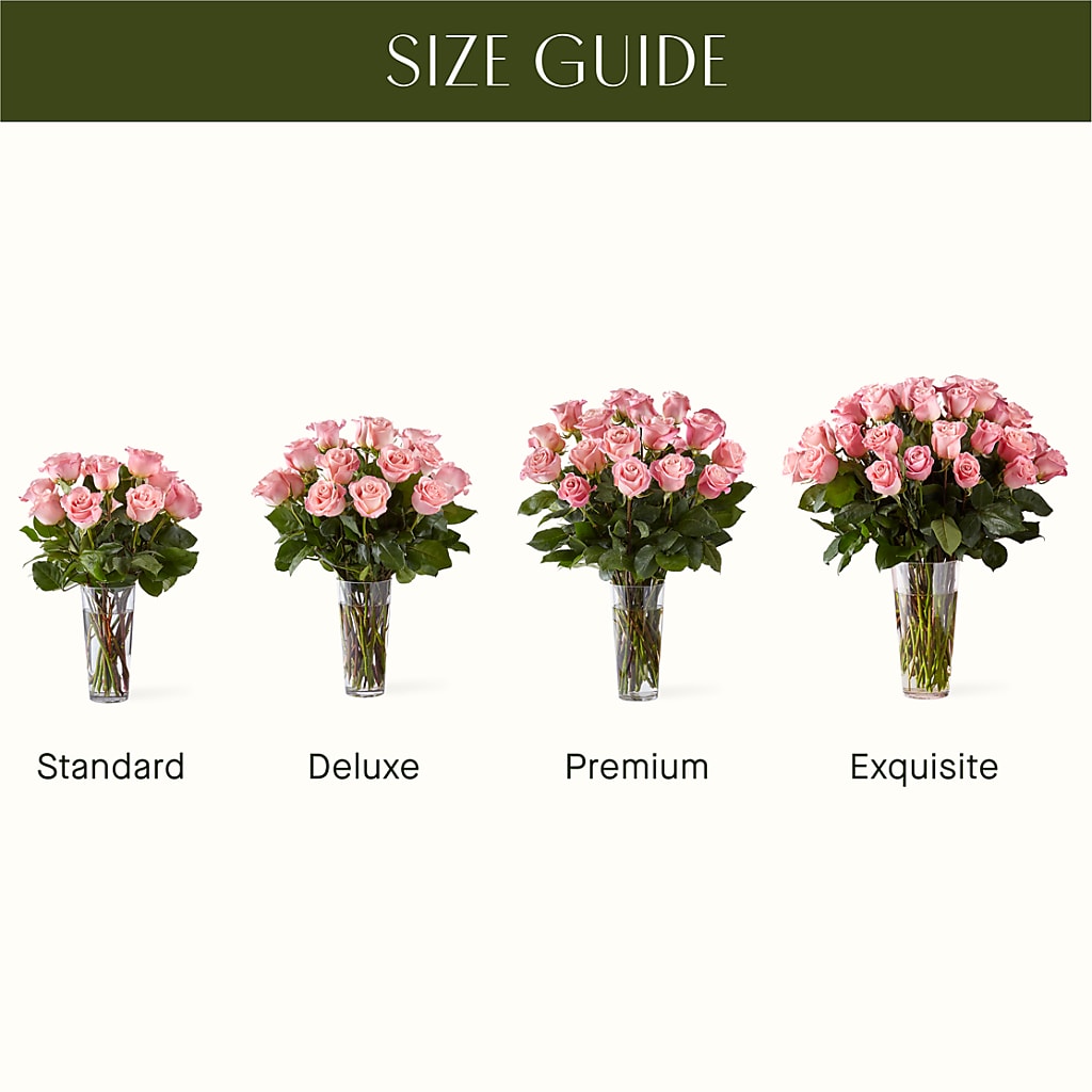 Long Stem Pink Rose Bouquet –  Petite Flower Shop, San Antonio TX