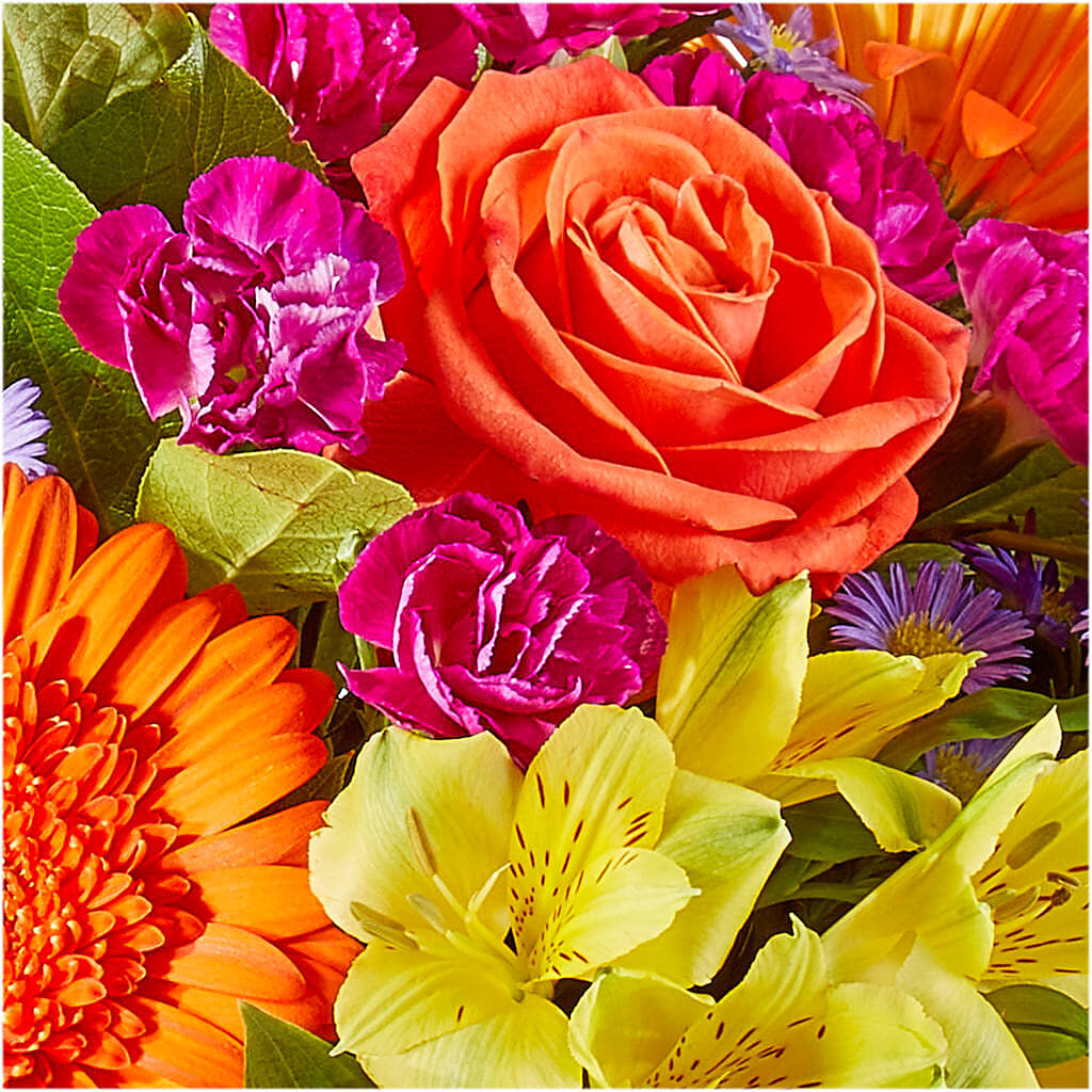 Tricks & Treats Pumpkin –  Petite Flower Shop, San Antonio TX