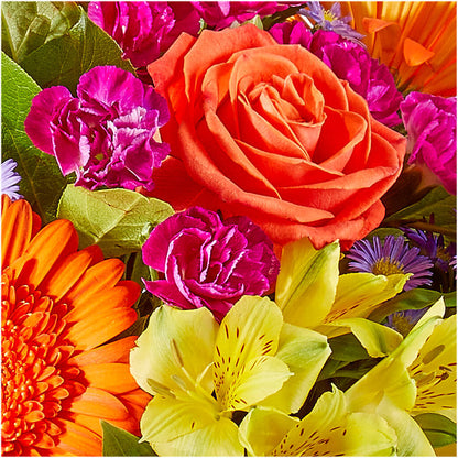 Tricks & Treats Pumpkin –  Petite Flower Shop, San Antonio TX