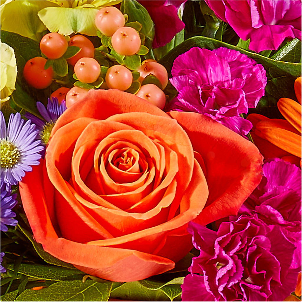 Tricks & Treats Pumpkin –  Petite Flower Shop, San Antonio TX