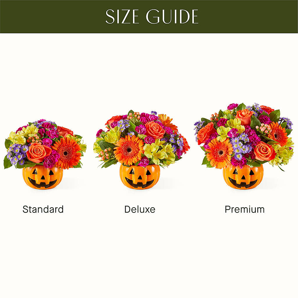 Tricks & Treats Pumpkin –  Petite Flower Shop, San Antonio TX