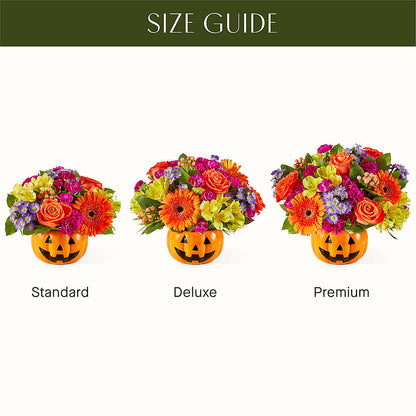Tricks & Treats Pumpkin –  Petite Flower Shop, San Antonio TX