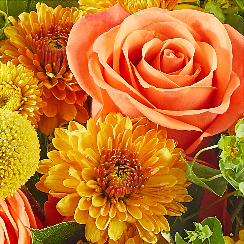 Gourdgeous Pumpkin –  Petite Flower Shop, San Antonio TX