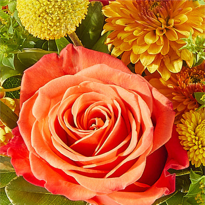 Gourdgeous Pumpkin –  Petite Flower Shop, San Antonio TX