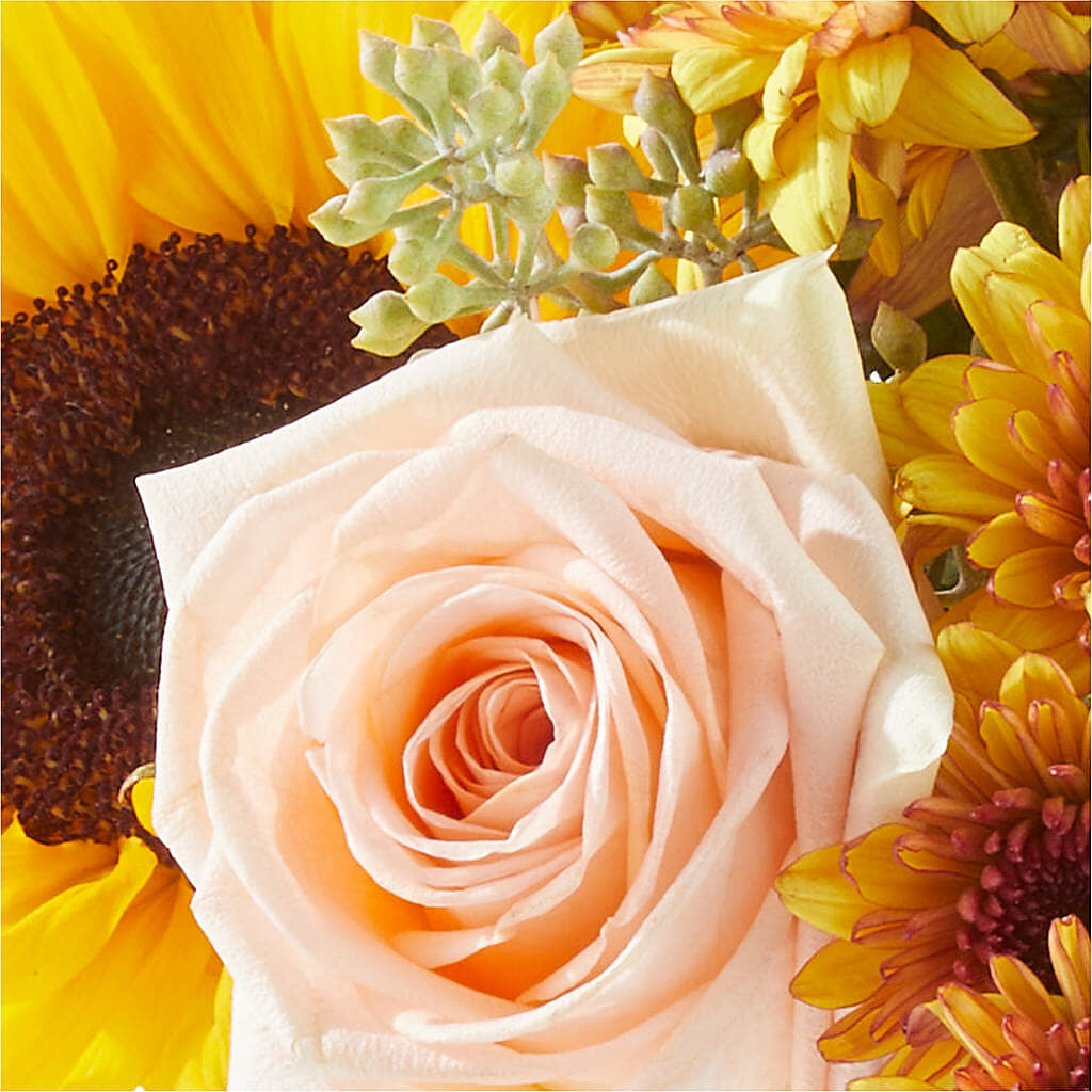 Pumpkin to Talk About Bouquet –  Petite Flower Shop, San Antonio TX