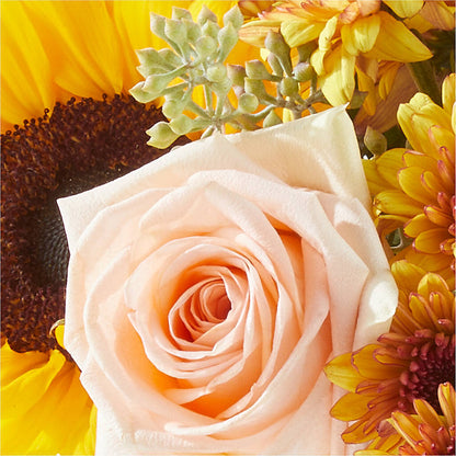 Pumpkin to Talk About Bouquet –  Petite Flower Shop, San Antonio TX