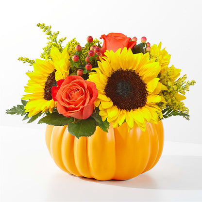 Pick of the Patch Pumpkin Bouquet –  Petite Flower Shop, San Antonio TX