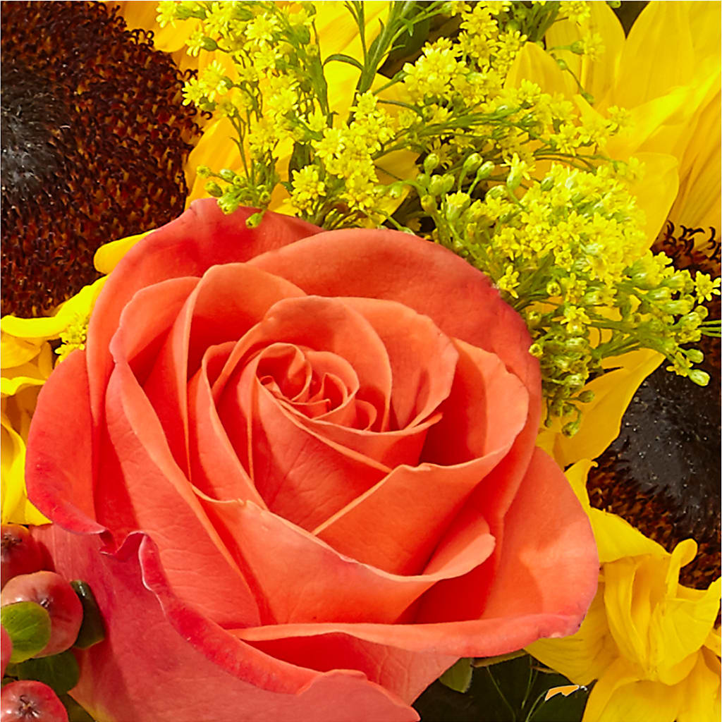 Pick of the Patch Pumpkin Bouquet –  Petite Flower Shop, San Antonio TX
