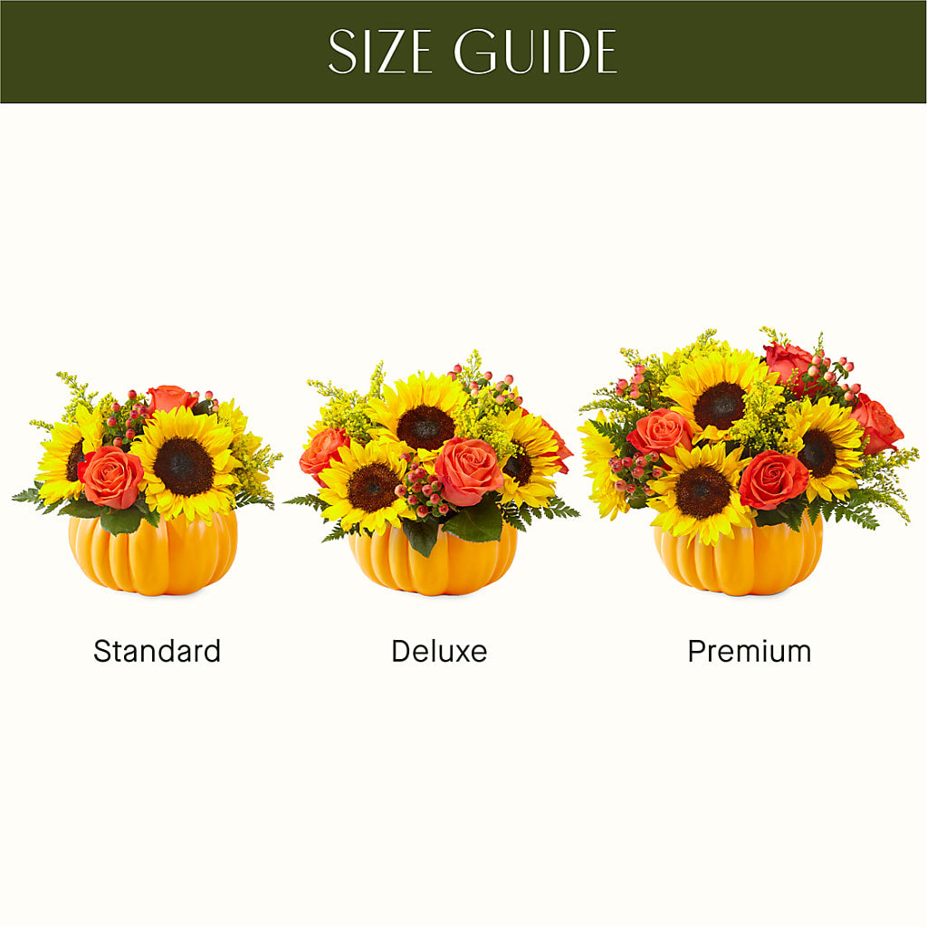 Pick of the Patch Pumpkin Bouquet –  Petite Flower Shop, San Antonio TX