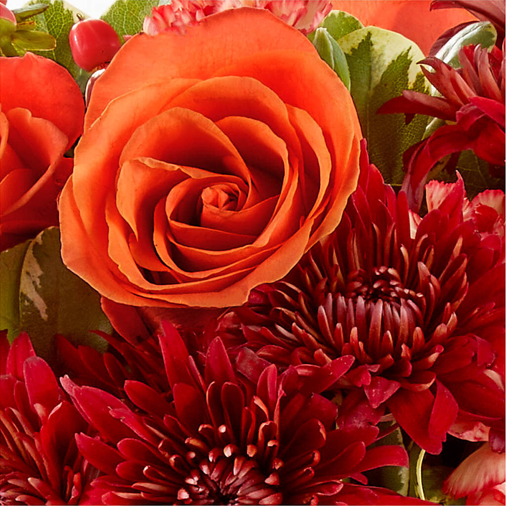 Autumn Air Pumpkin Bouquet –  Petite Flower Shop, San Antonio TX